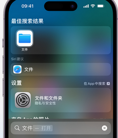 额敏apple维修中心分享iPhone文件应用中存储和找到下载文件 