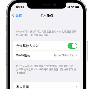 额敏apple服务站点分享iPhone上个人热点丢失了怎么办