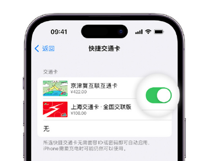 额敏apple维修点分享iPhone上更换Apple Pay快捷交通卡手绘卡面 