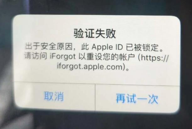 额敏iPhone维修分享iPhone上正常登录或使用AppleID怎么办 