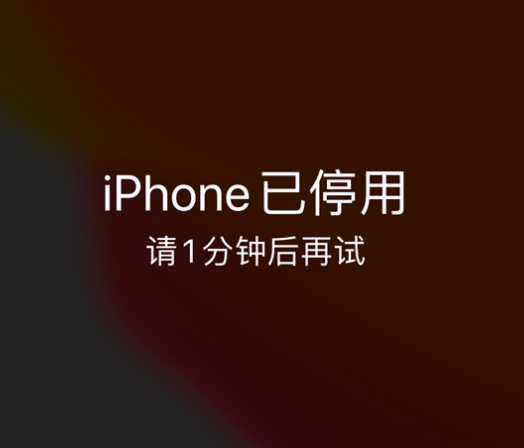 额敏苹果手机维修分享:iPhone 显示“不可用”或“已停用”怎么办？还能保留数据吗？ 