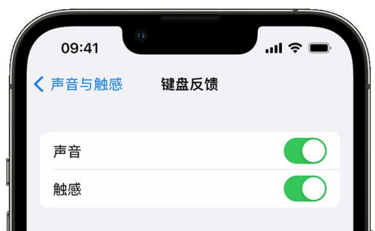 额敏苹果手机维修分享iPhone 14触感键盘使用方法 