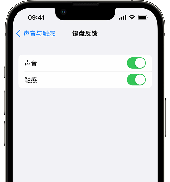 额敏苹果14维修店分享如何在 iPhone 14 机型中使用触感键盘 