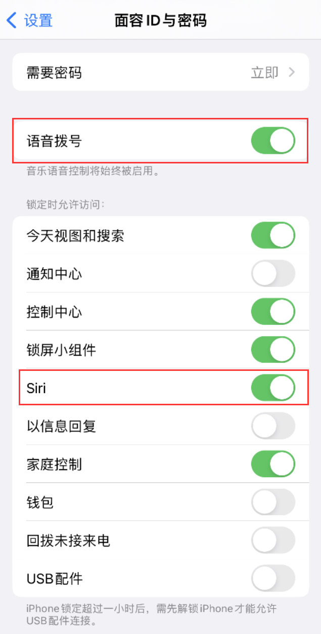 额敏苹果维修网点分享不解锁 iPhone 的情况下通过 Siri 拨打电话的方法 