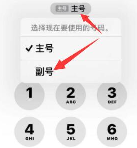 额敏苹果14维修店分享iPhone 14 Pro Max使用副卡打电话的方法 