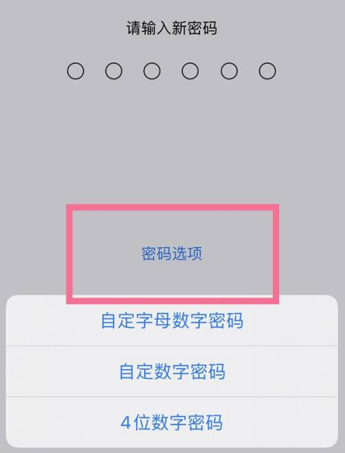 额敏苹果14维修分享iPhone 14plus设置密码的方法 