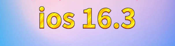 额敏苹果服务网点分享苹果iOS16.3升级反馈汇总 