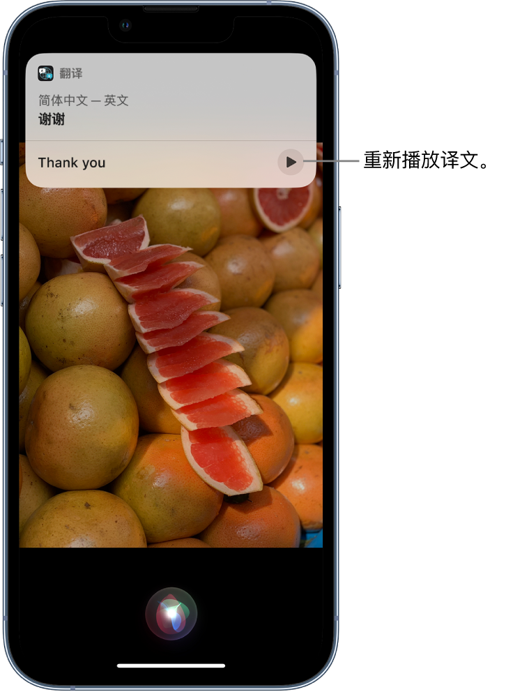 额敏苹果14维修分享 iPhone 14 机型中使用 Siri：了解 Siri 能帮你做什么 