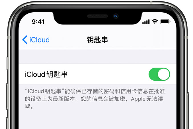 额敏苹果手机维修分享在 iPhone 上开启 iCloud 钥匙串之后会储存哪些信息 