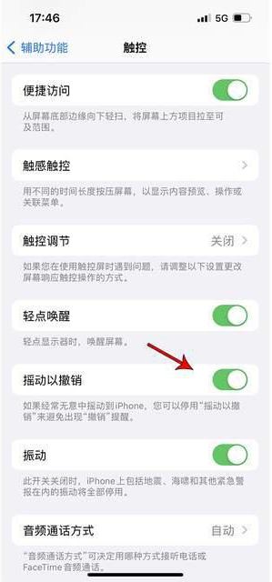 额敏苹果手机维修分享iPhone手机如何设置摇一摇删除文字 